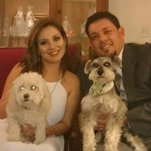 Meet your Posher, Grace